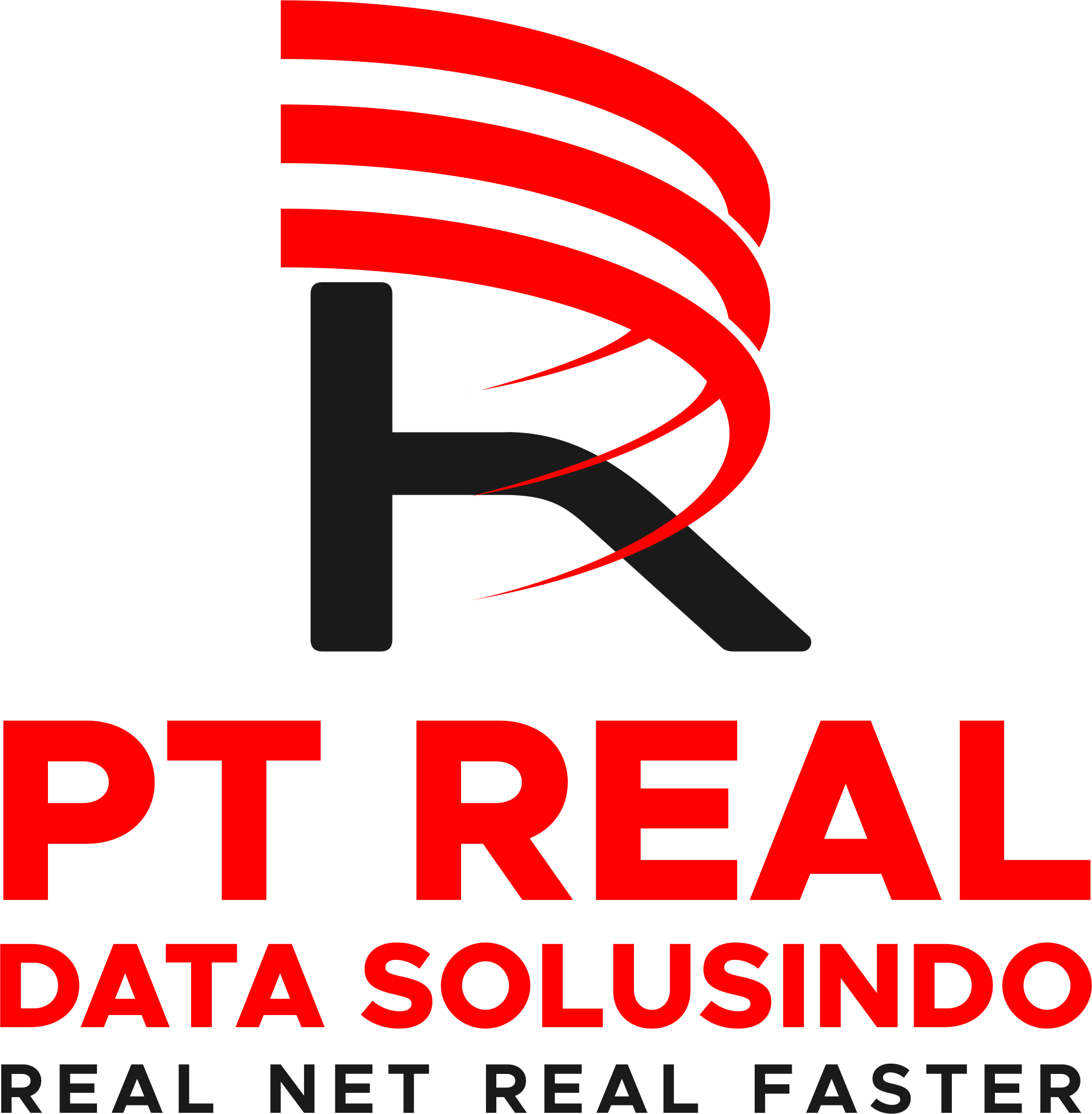 Logo PT Real Data Solusindo